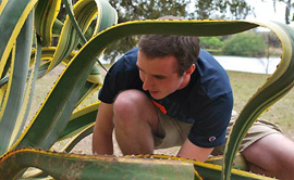 An Albion College student out in the field researching plants.