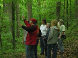 Foresters explain how the Tuuk's private property is managed to provide habitat and sustainable income from the land.