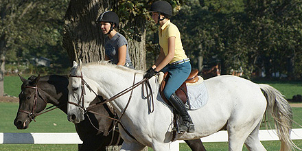 How to find the Albion College equestrian center.