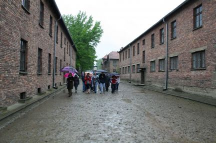Auschwitz_2011