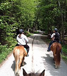 One of Mackinac Island's many horse trails