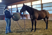 Katie Petchell, '13, works with a horse during her Fall 2012 internship.