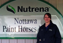 Katie Petchell, '13, completed her second Gerstacker Institute internship at Nottawa Paint Horses.