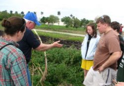 Stan Bronson shows students sugar cane grown in the rich peat soils in the "Everglades Agricultural Area" south of Lake Okeechobee.  This area once was the heart of the everglades but has been drained and cropped, primarily with cane, for over fifty years